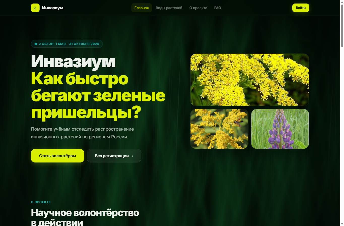 Скриншот веб-платформы Инвазиум