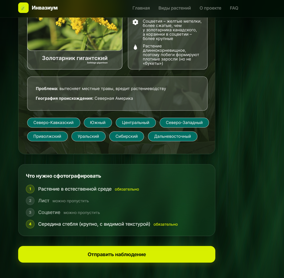 Карточка растения и сценарий наблюдения на платформе Инвазиум