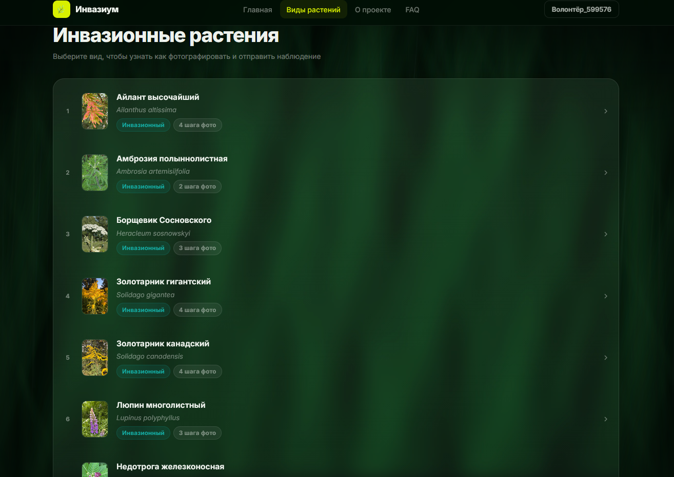 Список инвазионных растений на платформе Инвазиум